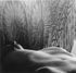 Bodyscape Sunset 400x385x150