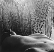 Bodyscape Sunset 