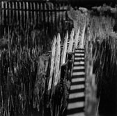 Ghost Fence