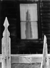 Window and Fence Bodie 