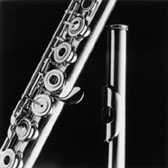 Flute (from Voice of the Musician Series - in progress)