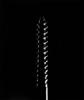 Long Screw 