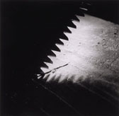 Saw and Wood 