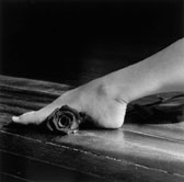 Rose Under Foot 